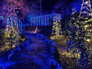 Evento navideño, decoración y ambientación. Meraki Cultura Audiovisual