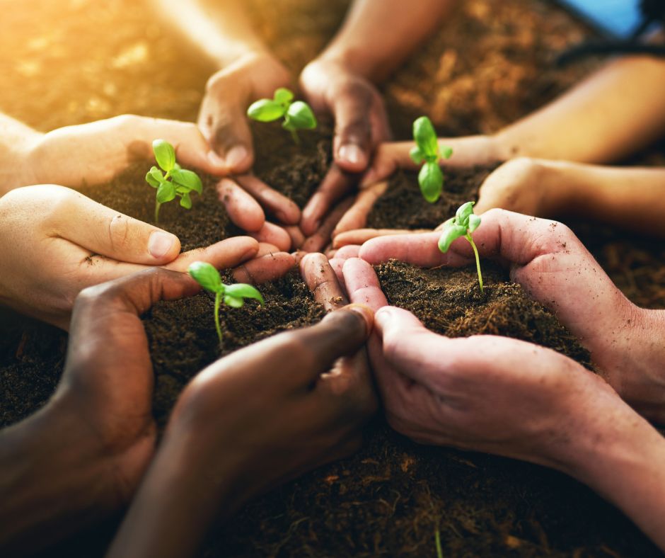 Diseño sin título (1)