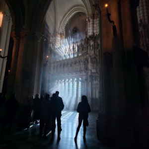 Un momento de Lumina Catedral de Toledo: Visitantes en el interior de la Catedral disfrutando de Lumina.