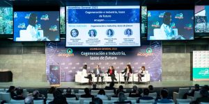 Servicios de Producción para Eventos MERAKI CULTURA AUDIOVISUAL. producción, arquitectura efímera. trasera con audiovisuales y pantallas gigantes.